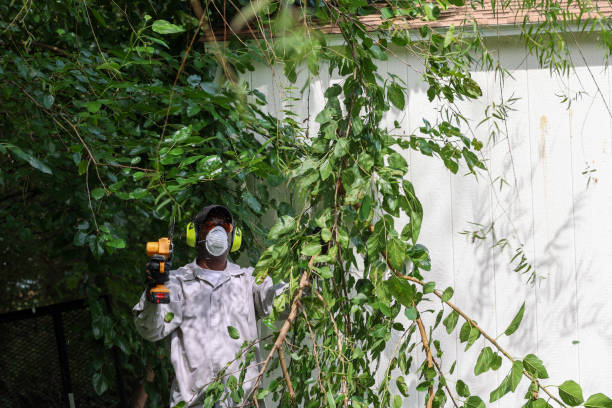 Best Tree Health Inspection  in Newton, IA
